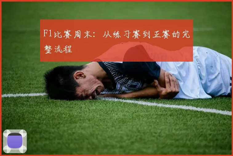F1比赛周末：从练习赛到正赛的完整流程